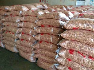 [魯花八號批發]魯花八號 魯花八通貨米價格4.2元/斤 2000斤起批