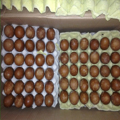 河南菜仙供應(yīng)鮮鴨蛋、咸鴨蛋批發(fā)、零售歡迎新老客戶來電咨詢圖片_高清圖_細(xì)節(jié)圖-河南菜仙蔬貿(mào)易 -