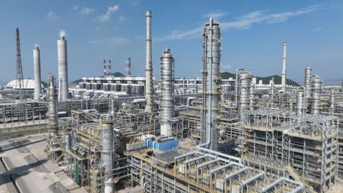 推進(jìn)大宗商品資源配置樞紐建設(shè) 魚山島奮勇當(dāng)先