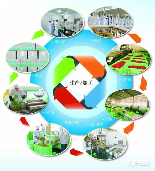 組織會(huì)員單位參加二連浩特邊民互市貿(mào)易區(qū)商品展銷會(huì)，推動(dòng)商品零售貿(mào)易發(fā)展